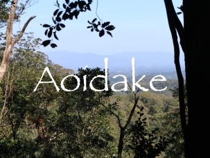 Aoidake